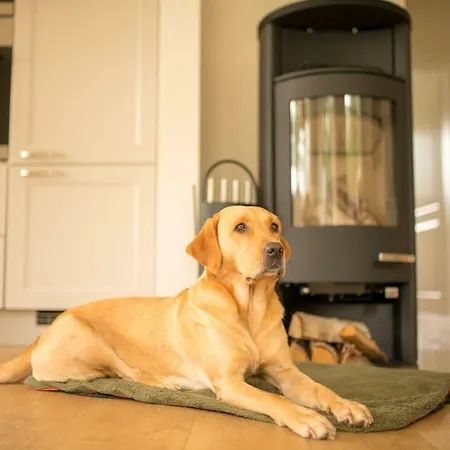 Dom wakacyjny Gruene Hufe *